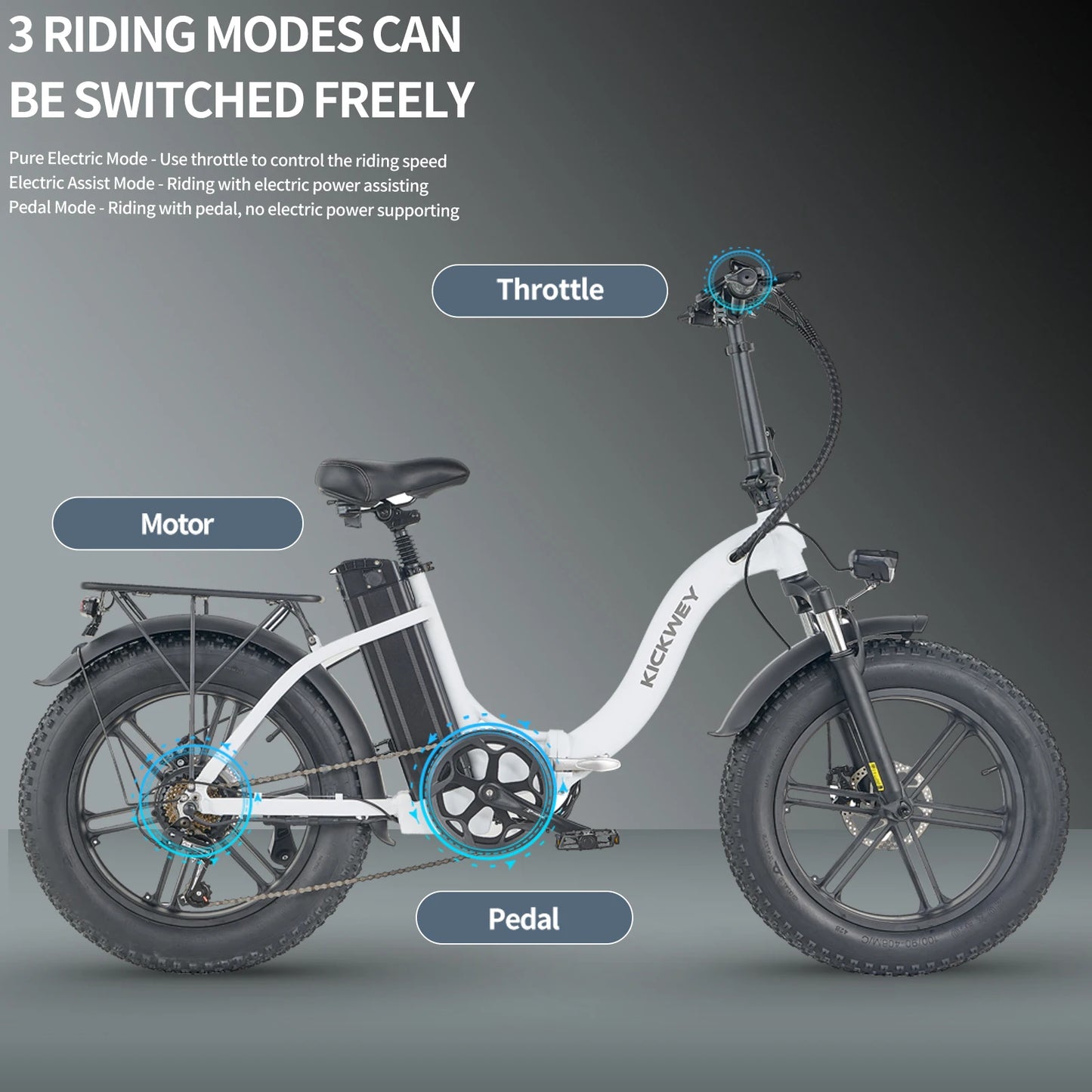 Kickwey LD20 adult E-bike 750W 48V 20Ah battery commute Electric Bike,20-inch Fat Tire E-Mountain bike