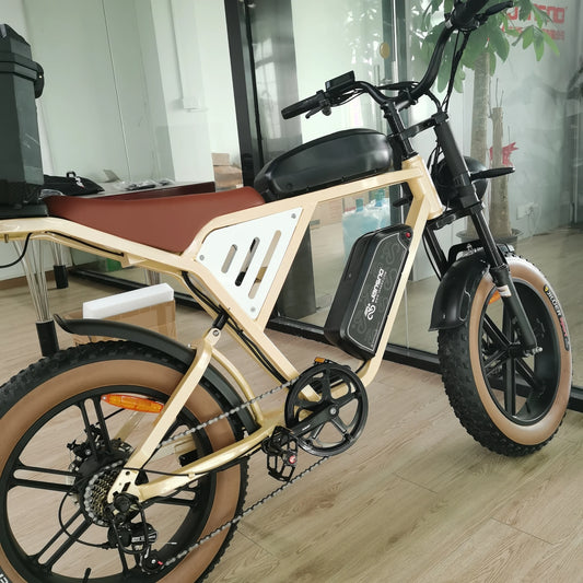 Ebike jansno x70 750W Dual Battery 34AH Top Speed 40KM/H 20*4Fat Tire Electric Bike Mountain Electric Bicycle E-motorcycle