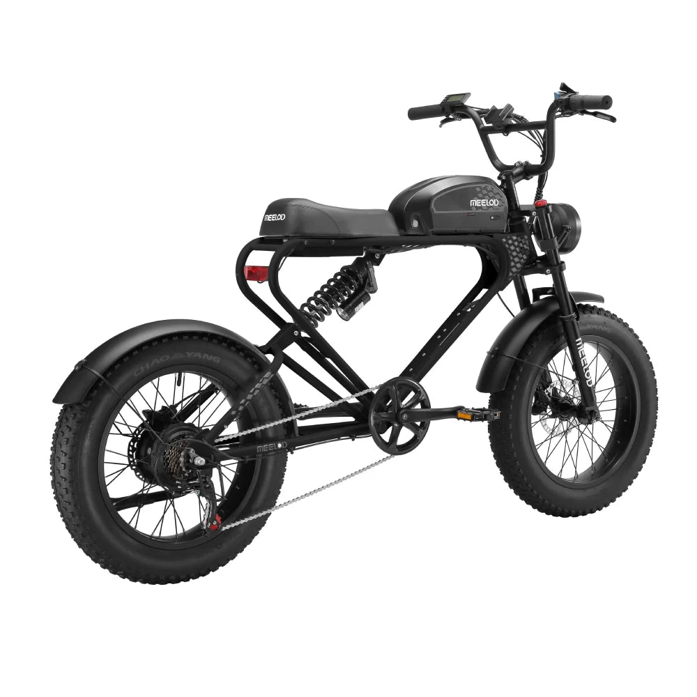 MEELOD DK300PLUS adult E-bike 1200W 48V 12.5Ah battery commute Electric Bike,20-inch Fat Tire E-Mountain bike