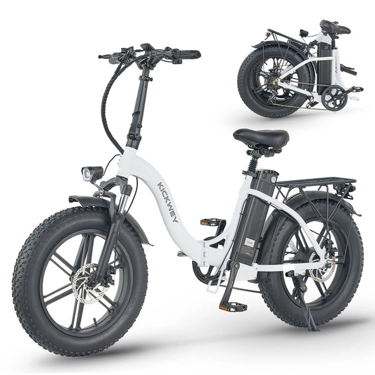 Kickwey LD20 adult E-bike 750W 48V 20Ah battery commute Electric Bike,20-inch Fat Tire E-Mountain bike