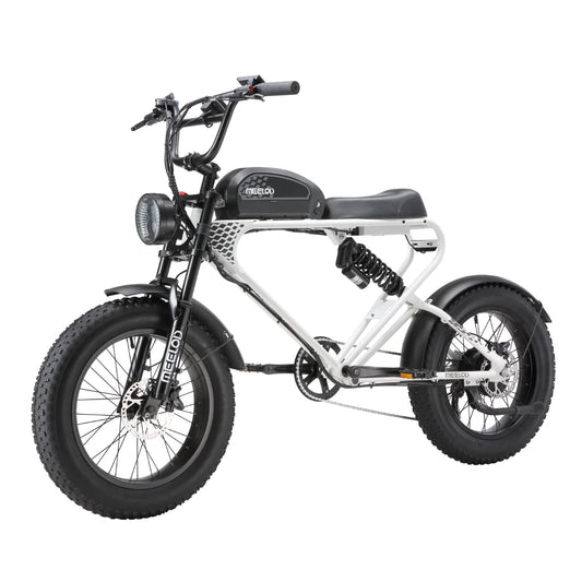 MEELOD DK300PLUS adult E-bike 1200W 48V 12.5Ah battery commute Electric Bike,20-inch Fat Tire E-Mountain bike